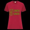 Everyday Heavy Cotton Ladies' Tee Thumbnail