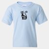 Heavy Cotton Youth T-Shirt Thumbnail