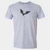 Softstyle Men/Unisex Lightweight T-Shirt Thumbnail