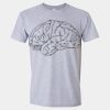 Softstyle Men/Unisex Lightweight T-Shirt Thumbnail