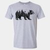 Softstyle Men/Unisex Lightweight T-Shirt Thumbnail