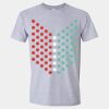 Softstyle Men/Unisex Lightweight T-Shirt Thumbnail