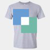 Softstyle Men/Unisex Lightweight T-Shirt Thumbnail