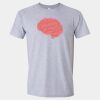 Softstyle Men/Unisex Lightweight T-Shirt Thumbnail