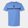 Softstyle Men/Unisex Lightweight T-Shirt Thumbnail