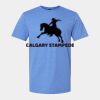 Softstyle Men/Unisex Lightweight T-Shirt Thumbnail