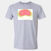 Softstyle Men/Unisex Lightweight T-Shirt Thumbnail