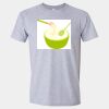 Softstyle Men/Unisex Lightweight T-Shirt Thumbnail