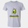 Softstyle Men/Unisex Lightweight T-Shirt Thumbnail