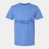 Softstyle Men/Unisex Lightweight T-Shirt Thumbnail