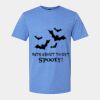 Softstyle Men/Unisex Lightweight T-Shirt Thumbnail
